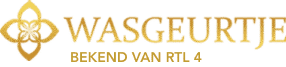 Massive Dynamic logo